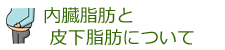 内臓脂肪と皮下脂肪について